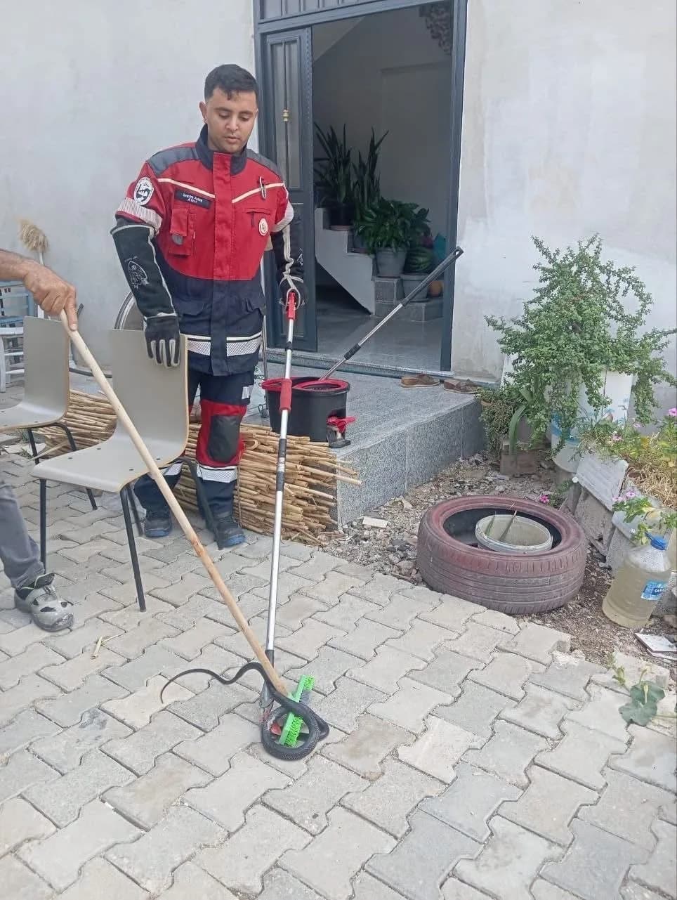Antakya ve Hassa’da yerleşim yerlerinde görülen yılanlar ekipler tarafından yakalanarak doğal yaşam alanlarına bırakıldı