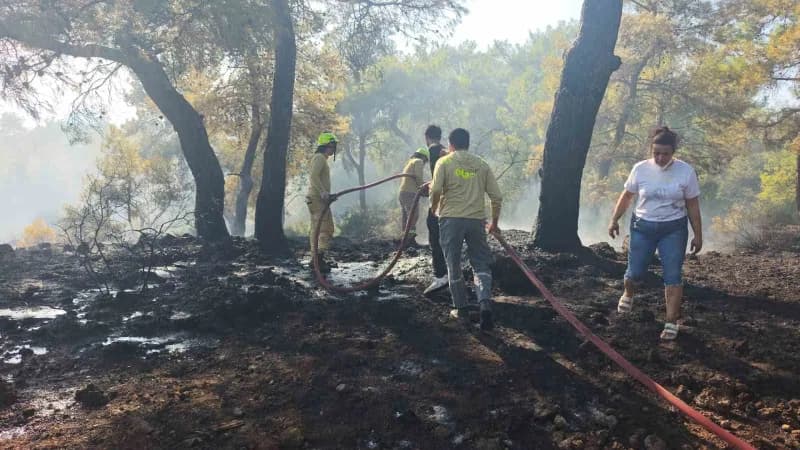 Antalya'nın Kepez ilçesinde çıkan orman yangını, havadan ve karadan müdahaleyle kontrol altına alındı. Ekiplerin bölgede