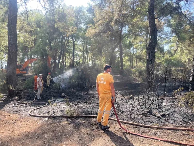Antalya Kepez’de çıkan orman yangınına müdahale eden itfaiye ekipleri ve yangın söndürme araçları
