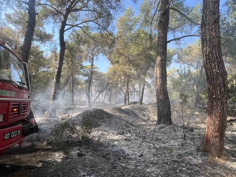 Antalya'nın Kepez ilçesinde çıkan orman yangını, havadan ve karadan müdahaleyle kontrol altına alındı. Ekiplerin bölgede