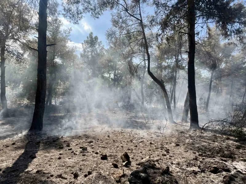 Antalya'nın Kepez ilçesinde çıkan orman yangını, havadan ve karadan müdahaleyle kontrol altına alındı. Ekiplerin bölgede