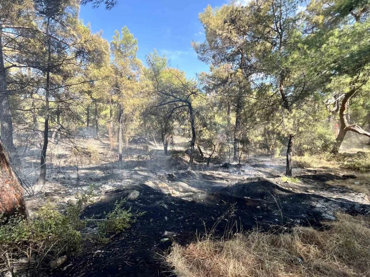 Antalya'nın Kepez ilçesinde çıkan orman yangını, havadan ve karadan müdahaleyle kontrol altına alındı. Ekiplerin bölgede