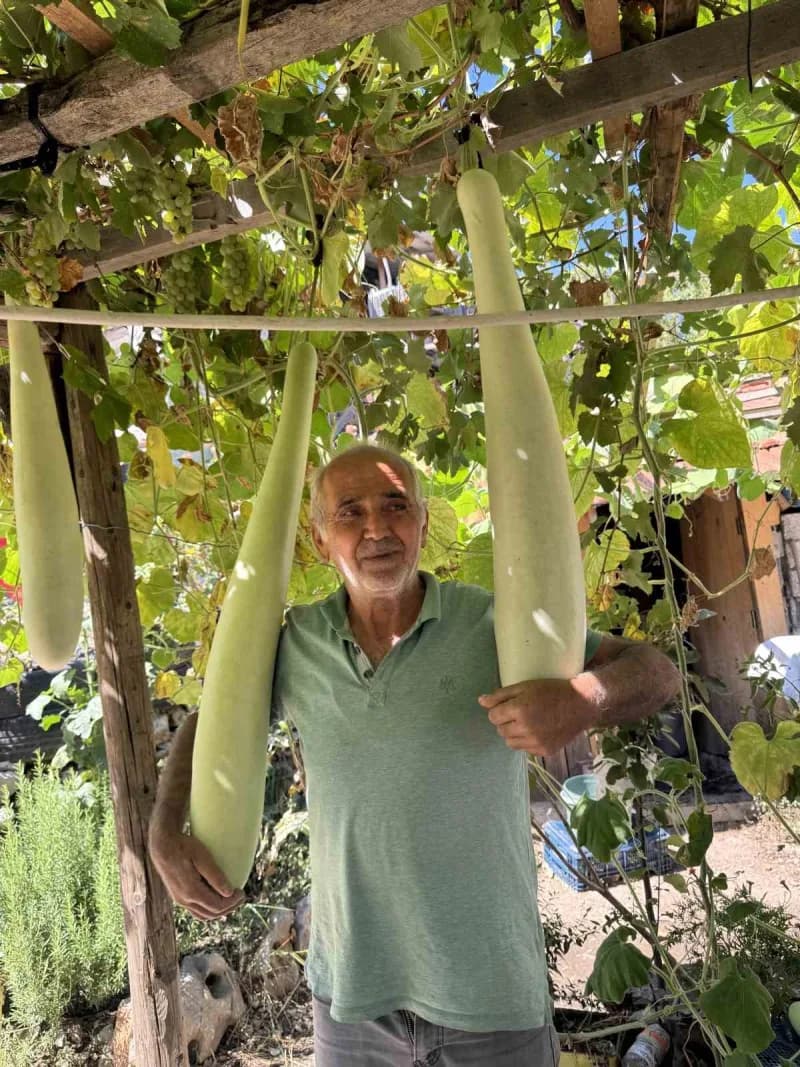 Şendur Özdoğru