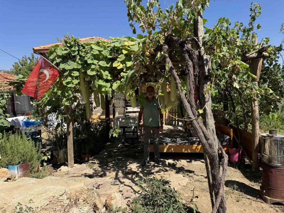 Antalya’nın İbradı ilçesine bağlı Ürünlü Mahallesi’nde yaz aylarını geçiren Şendur Özdoğru’nun deneme amaçlı ektiği su k