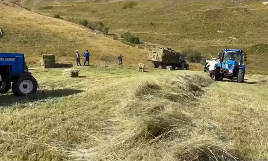 Kış aylarının uzun ve çetin geçtiği Ardahan'da besiciler, hayvanlarının kışlık yem ihtiyacını karşılamak için yoğun bir