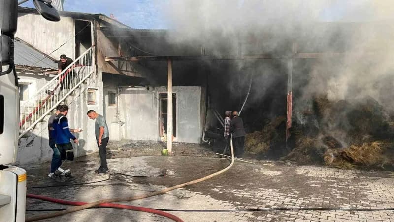 Aardahan'ın Posof ilçesine bağlı Yurtbekler köyü'nde çıkan yangında samanlık alevlere teslim oldu. (Olgun yıldız/Ardahan