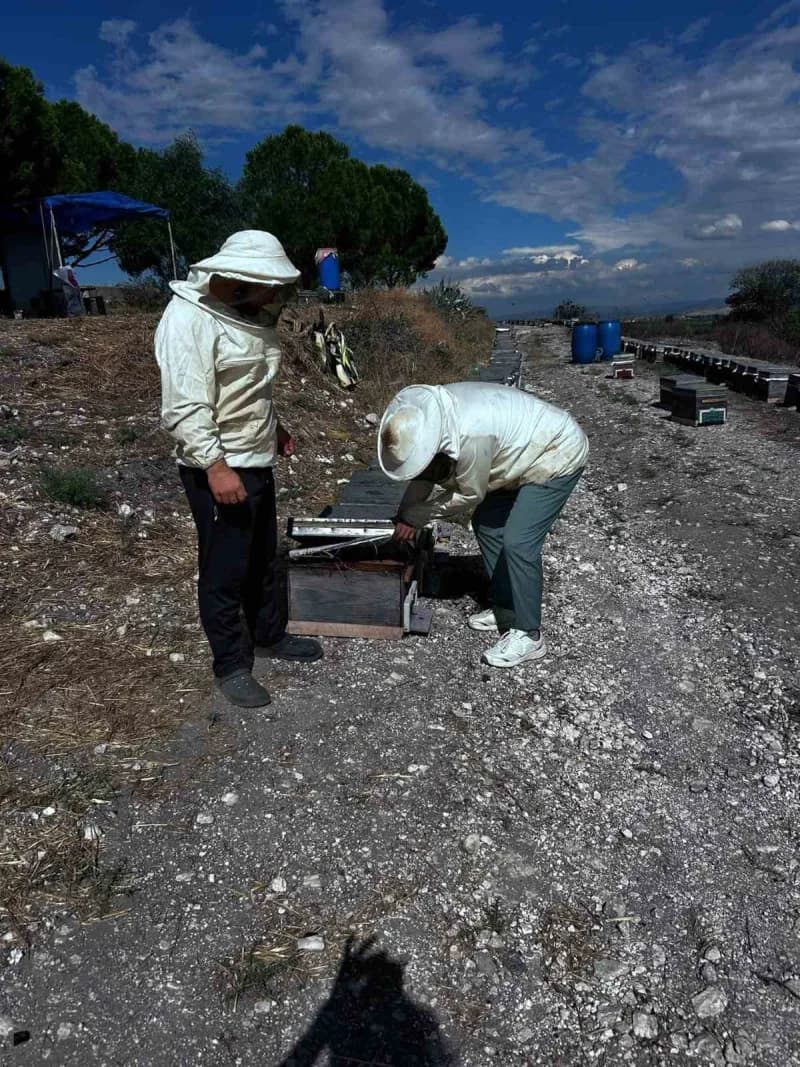 Aydın’ın Didim ilçesinde arıcılığın geliştirilmesi, arı yetiştiricilerinin desteklenmesi ve sürdürülebilir üretimin sağl