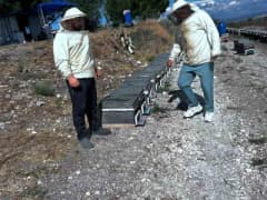 Aydın Didim'de arıcılık faaliyetleri için saha çalışması yapan ekipler
