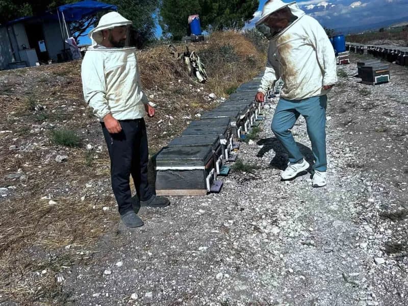Aydın Didim'de arıcılık faaliyetleri için saha çalışması yapan ekipler