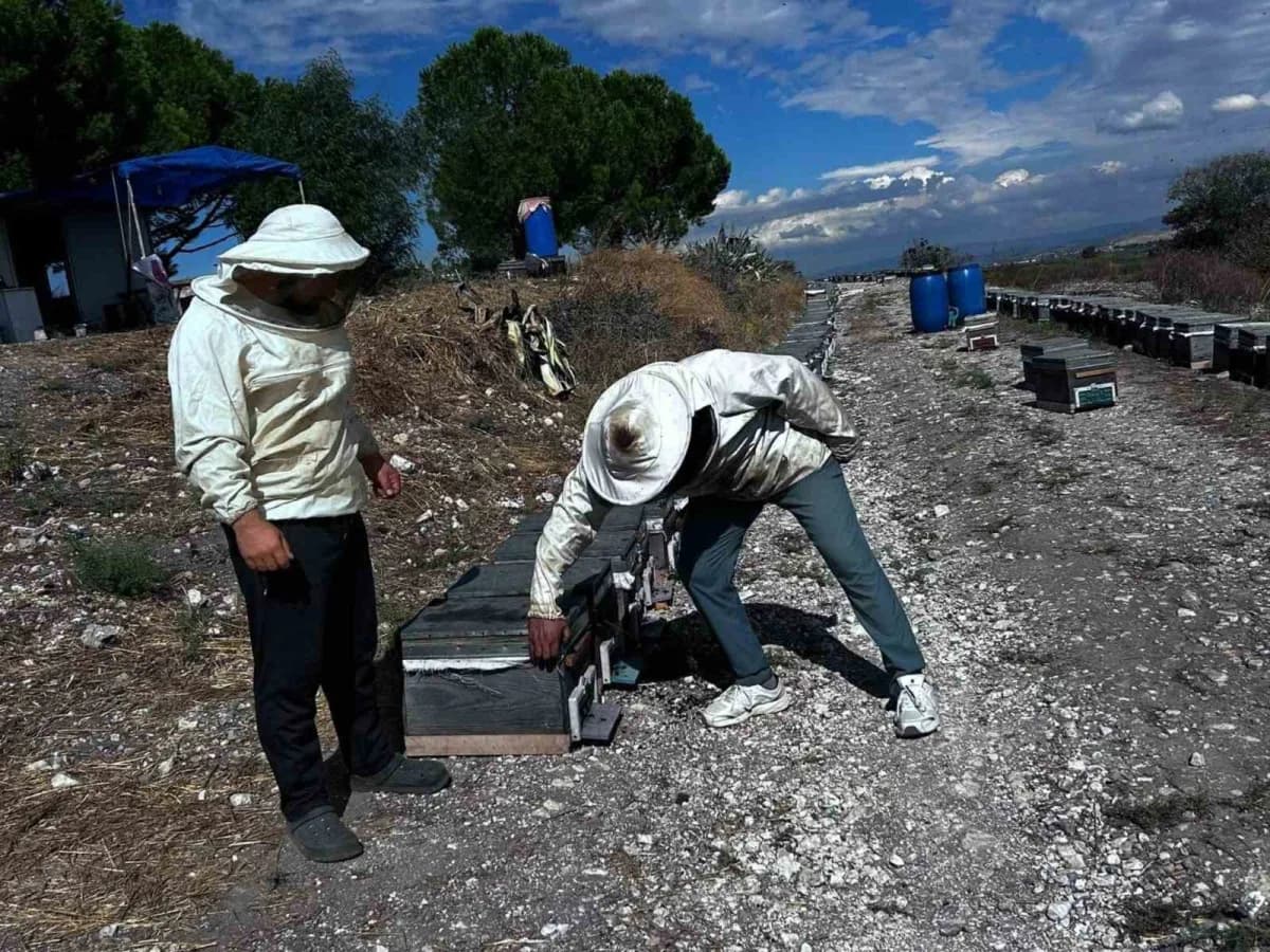 Aydın’ın Didim ilçesinde arıcılığın geliştirilmesi, arı yetiştiricilerinin desteklenmesi ve sürdürülebilir üretimin sağl