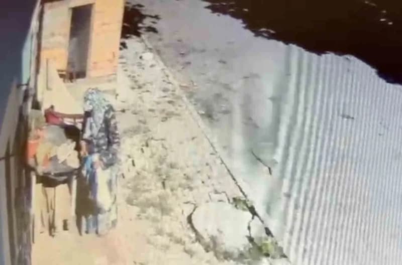 Arnavutköy'de bir binanın bahçesinde saksıdaki çiçeğin çalınması güvenlik kamerası görüntüsü