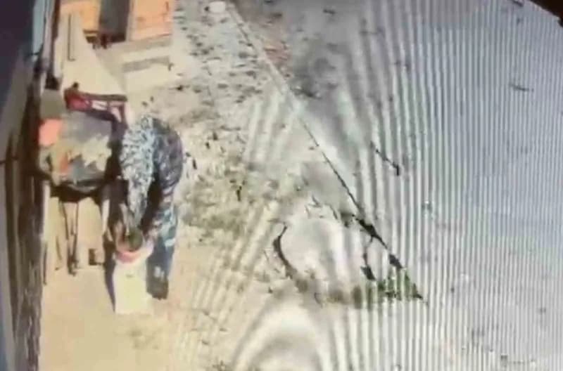 Arnavutköy’de bir binanın bahçesinde bulunan saksıdaki çiçek, yoldan geçen bir kadın tarafından çalındı. Güvenlik kamera