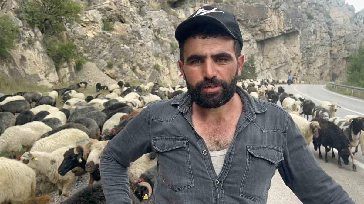 Artvin’in Bilbilan Yaylası’nda yaz aylarını geçiren besiciler, havaların soğumasıyla birlikte sürüleriyle alçak rakımlı