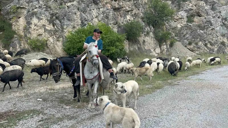 Artvin’in Bilbilan Yaylası’nda yaz aylarını geçiren besiciler, havaların soğumasıyla birlikte sürüleriyle alçak rakımlı