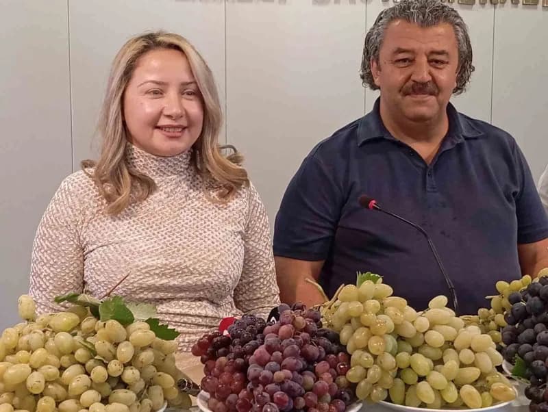 Denizli Acıpayam Avşar Mahallesi'nde yetişen Avşar üzümü ve festival etkinliklerinden görüntüler