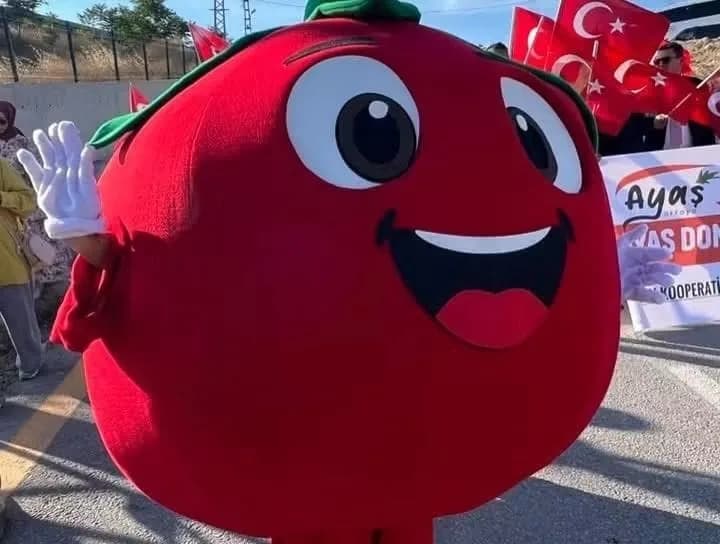 Ankara’nın coğrafi işaretli lezzetlerinden Ayaş domatesi’nin tanıtıldığı festival, ilçe sakinlerinin yanı sıra çevre il