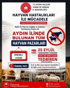 Aydın’da hayvan pazarlarının geçici olarak kapatılmasıyla boş kalan hayvan pazarı alanı