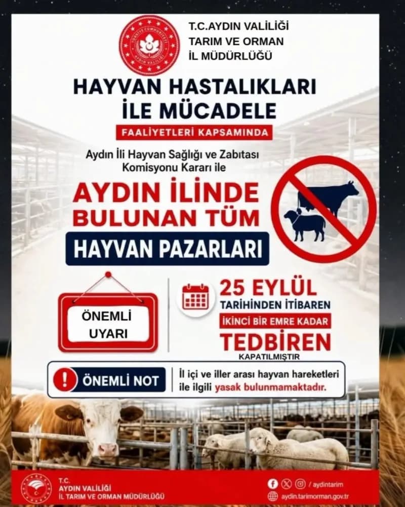 Aydın’da hayvan pazarlarının geçici olarak kapatılmasıyla boş kalan hayvan pazarı alanı