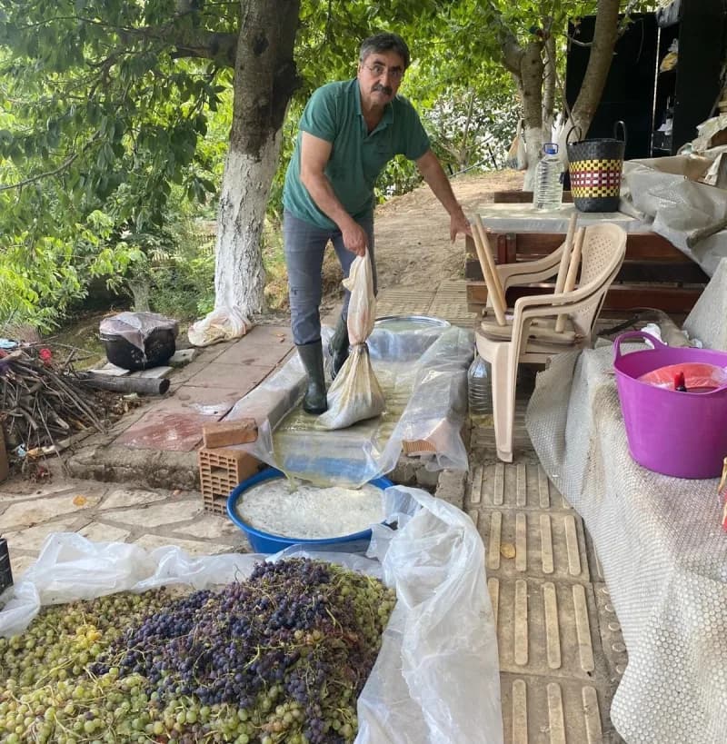 Aydın’da güz dönemi başlamasıyla birlikte üzümler sıkılıp şıraları kaynatılmaya başladı. Fabrikalarda son teknoloji ile
