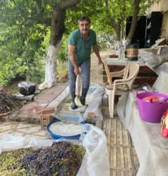 Aydın Karacasu’da geleneksel yöntemlerle üzümden pekmez üretimi yapılırken görüntü