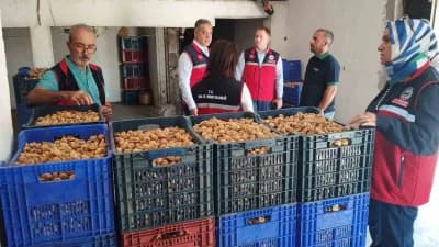 Aydın’da kuru incir sezonunda mikotoksin denetimleri kapsamında yol kontrolü ve depo denetimi yapılıyor