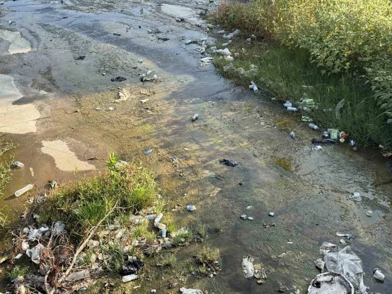 Aydın Efeler ilçesindeki Tabakhane Deresi’nde biriken plastik poşetler, pet şişeler ve cam şişeler çevre kirliliğine ned