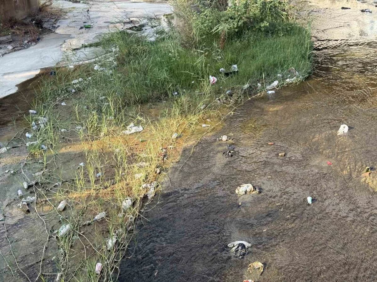 Aydın’ın Efeler ilçesinden geçen Tabakhane Deresi’nde biriken çöpler çevre kirliliğine neden oldu. Dere yatağında çok sa