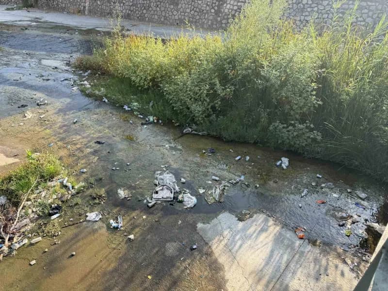 Aydın’ın Efeler ilçesinden geçen Tabakhane Deresi’nde biriken çöpler çevre kirliliğine neden oldu. Dere yatağında çok sa
