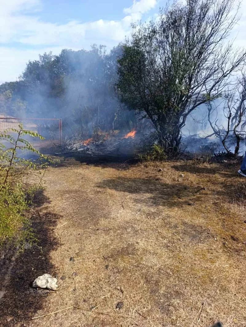 Çanakkale’nin Ayvacık ilçesinde makilik alanda çıkan yangın kontrol altına alındı.