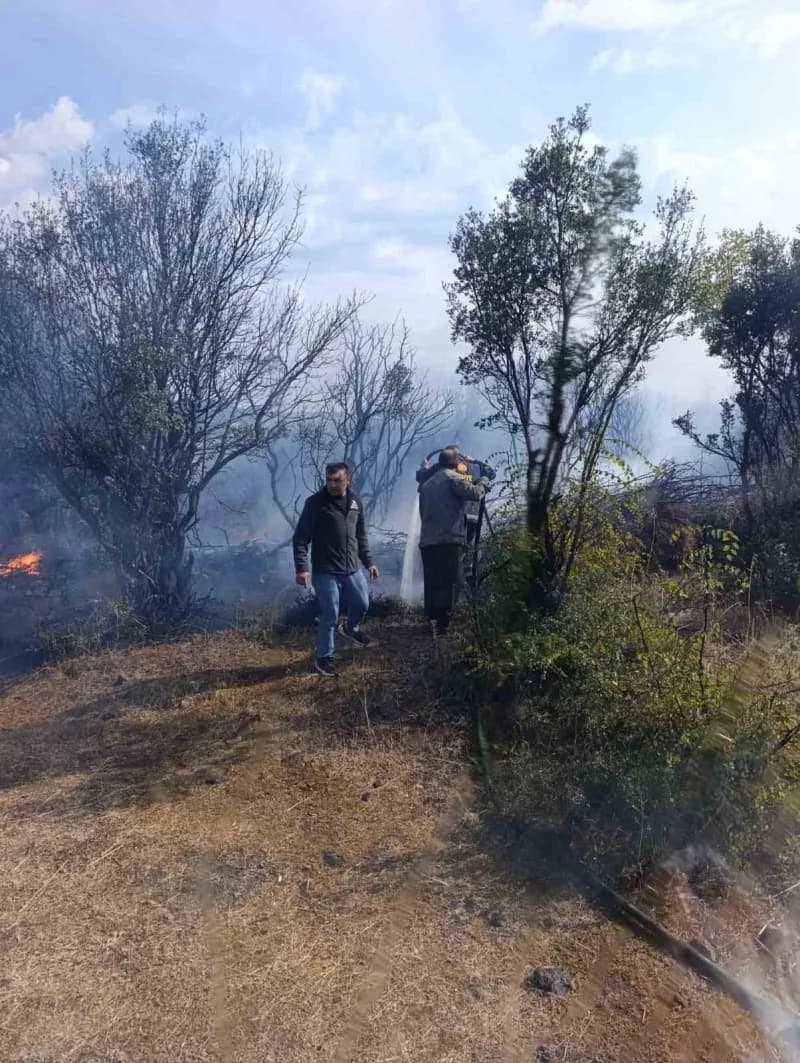 Çanakkale’nin Ayvacık ilçesinde makilik alanda çıkan yangın kontrol altına alındı.