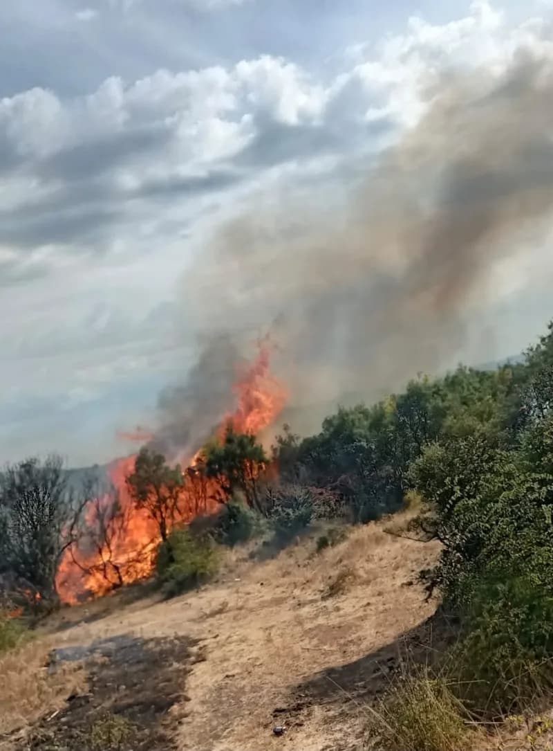 Çanakkale Ayvacık'ta makilik alanda çıkan yangın sonrası ekiplerin müdahalesi ve soğutma çalışmaları