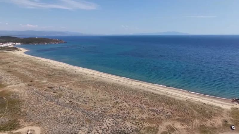 Balıkesir’in Ayvalık ilçesinde, kıyı ekosisteminin en zarif simgelerinden olan ve nesli Koruma altında bulunan kum zamba