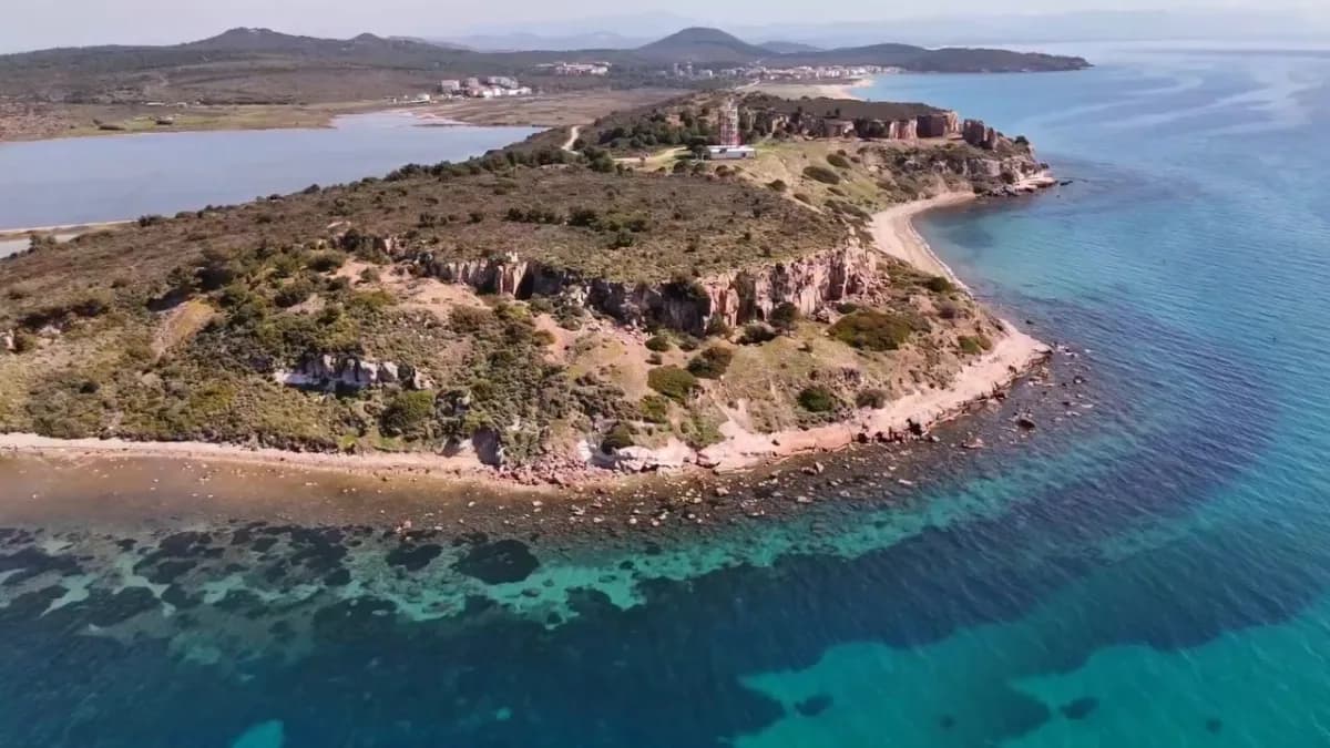 Balıkesir’in Ayvalık ilçesinde, kıyı ekosisteminin en zarif simgelerinden olan ve nesli Koruma altında bulunan kum zamba