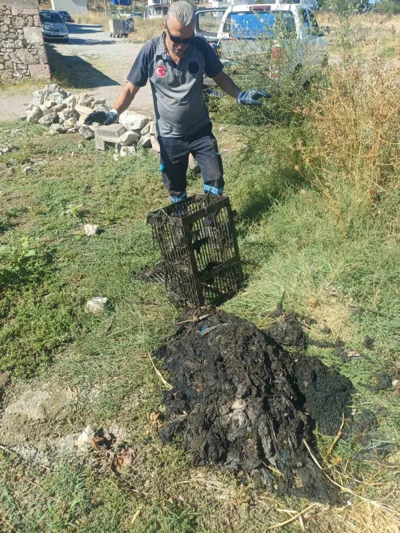 Ayvalık ıslak mendillerden dertli