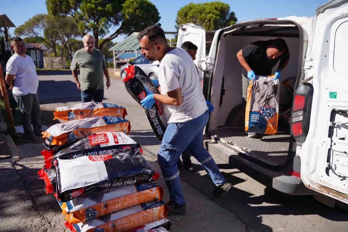 Ayvalık’ta sokak hayvanları için toplanan yaklaşık 1 ton mama koliler halinde Geçici Bakım Merkezi önünde