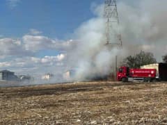 Kırklareli Babaeski’de hayvan çiftliğinde çıkan yangında itfaiye ekipleri müdahalede bulunuyor
