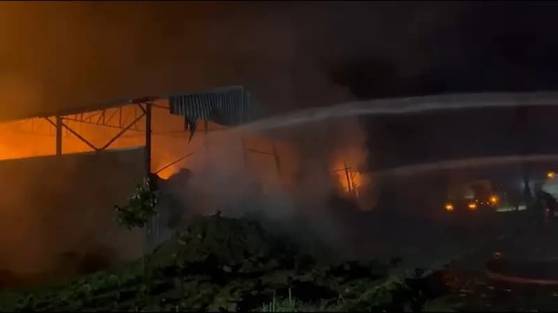 Samsun’un Bafra ilçesinde bir tarım işletmesine ait saman deposunda çıkan yangın, büyük çapta maddi hasara yol açtı. Yan