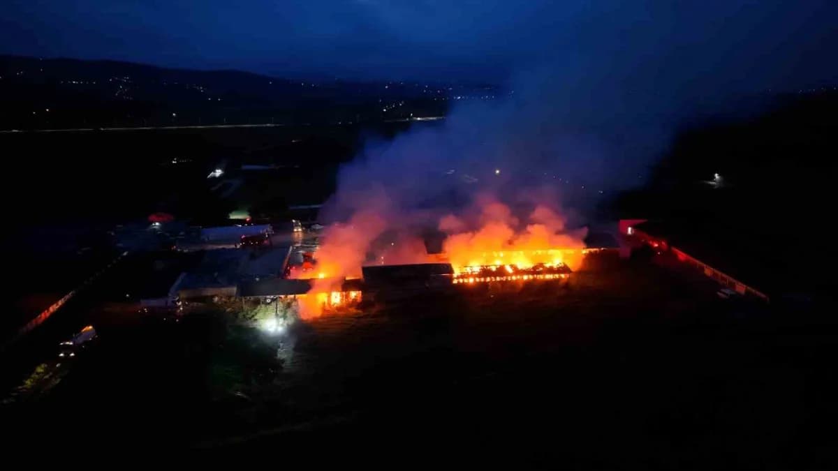 Bafra ilçesinde bir tarım işletmesine ait saman deposunda çıkan yangına ekiplerin müdahalesi sürüyor.