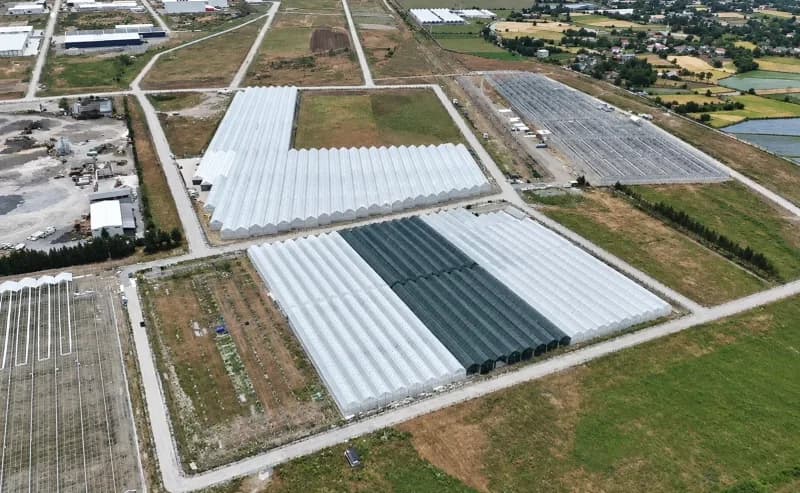 Samsun Bafra Sera Organize Tarım Bölgesinde modern sera yapıları ve tarımsal üretim alanları