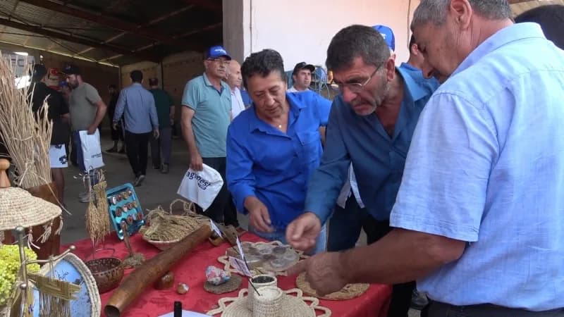 Bafra Ovası'nda çeltik hasadının başlaması dolayısıyla Harız Mahallesi'nde "13. Çeltik Hasat Şenliği" düzenlendi.