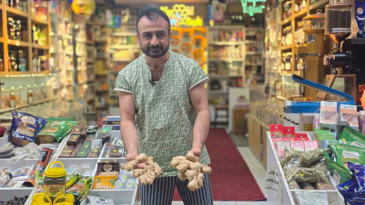 Havalar değişti, aktarlarda hareketlilik başladı
