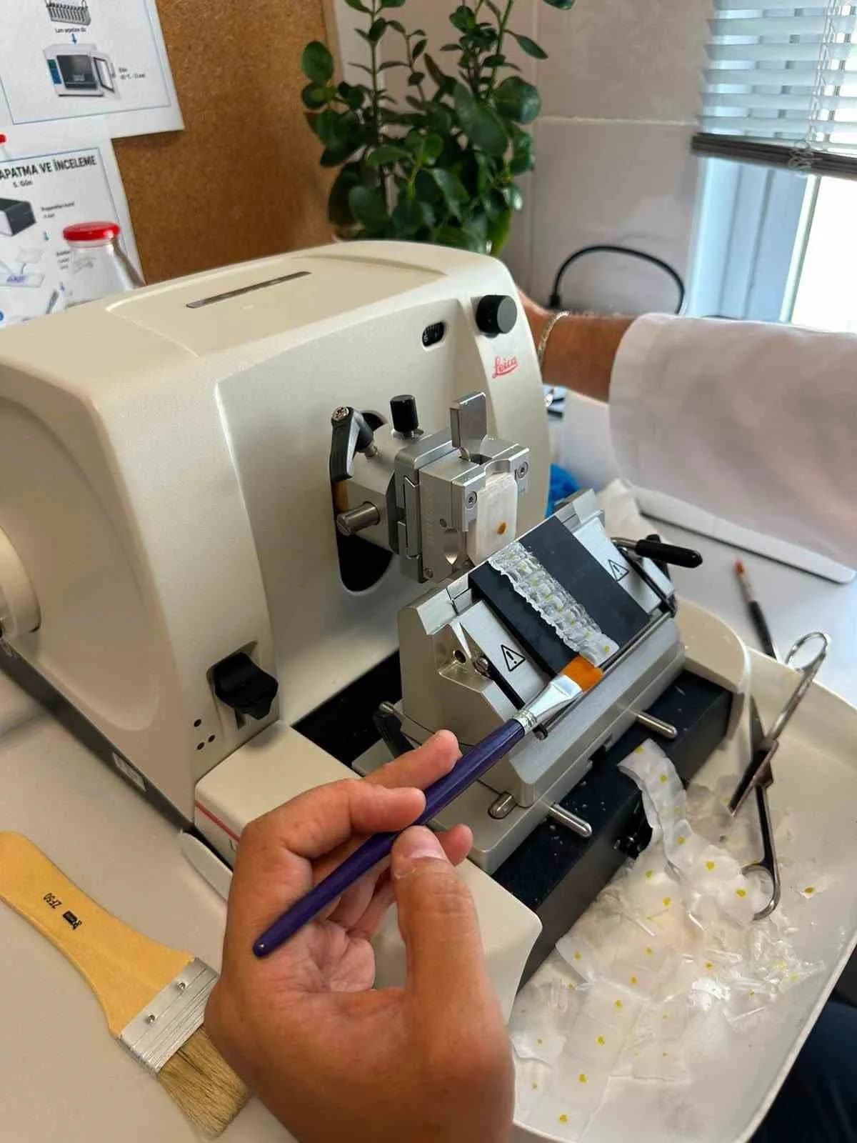 Bandırma Koyunculuk Enstitüsü’nde yeni laboratuvar