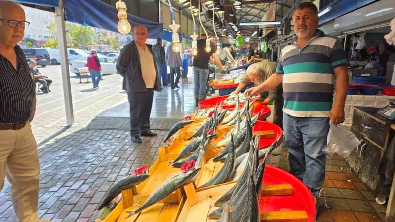 Bandırma’da Balık tezgâhlarında palamut bereketi