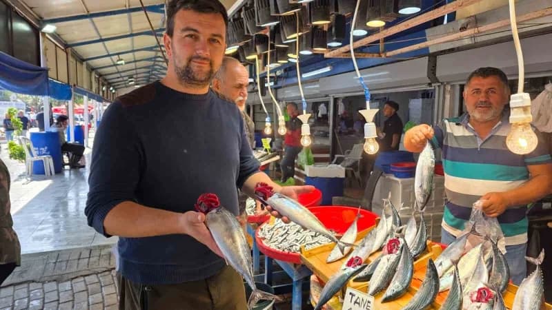 Bandırma’da Balık tezgâhlarında palamut bereketi