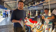 Bandırma Balık Hali’nde palamut ve diğer balık çeşitlerinin tezgâhlarda sergilenmesi
