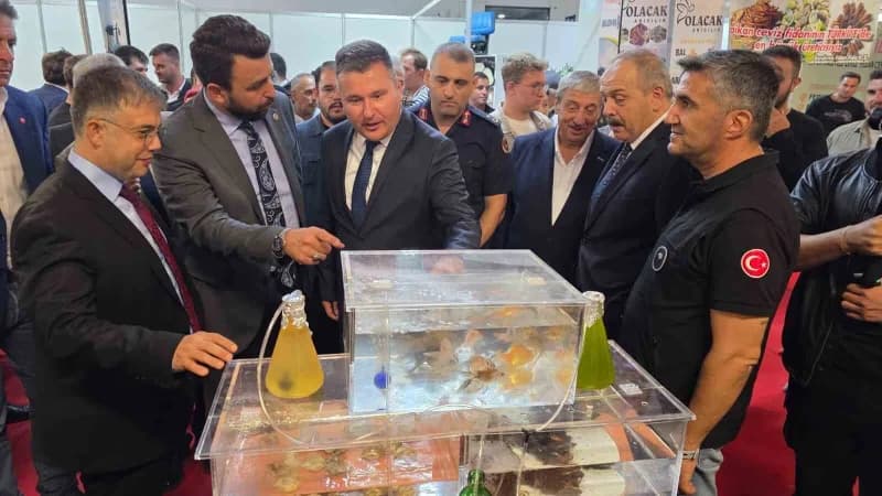Bandırma Tarım ve Hayvancılık Fuarı ikinci kez kapılarını açtı