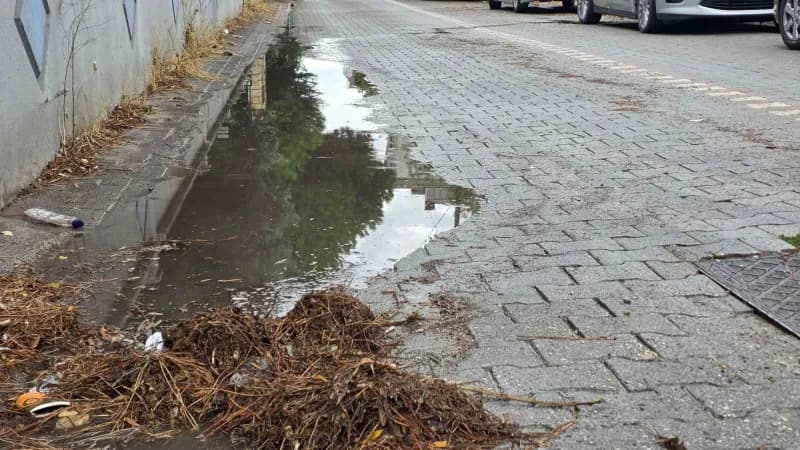 Bandırma’da yağış toprağı da havayı da serinletti