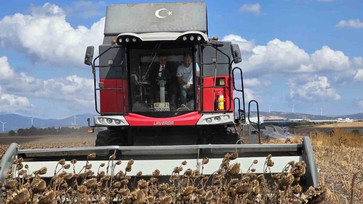 Bandırma’da kaymakam tarlaya indi, ayçiçeği hasadına katıldı