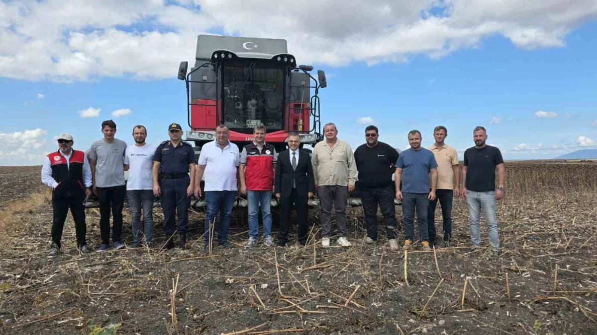 Bandırma’da Kaymakam tarlaya indi, ayçiçeği hasadına katıldı