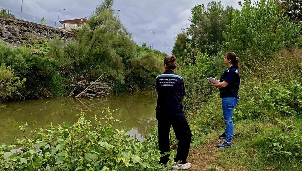 MÖ 3000'li yıllara uzanan köklü Geçmişi, antik dönemdeki nehir ticareti ve Batı Karadeniz'deki stratejik konumu nedeniyl